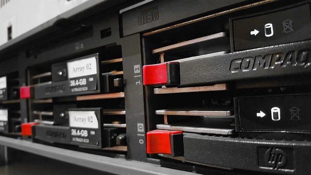 contoh server hosting e-padi