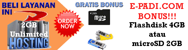 beli hosting gratis flashdisk epadi