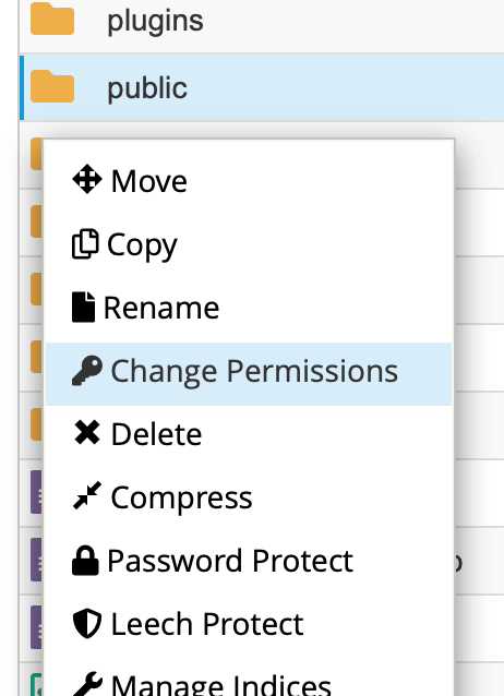 epadi cpanel file manager change permissions