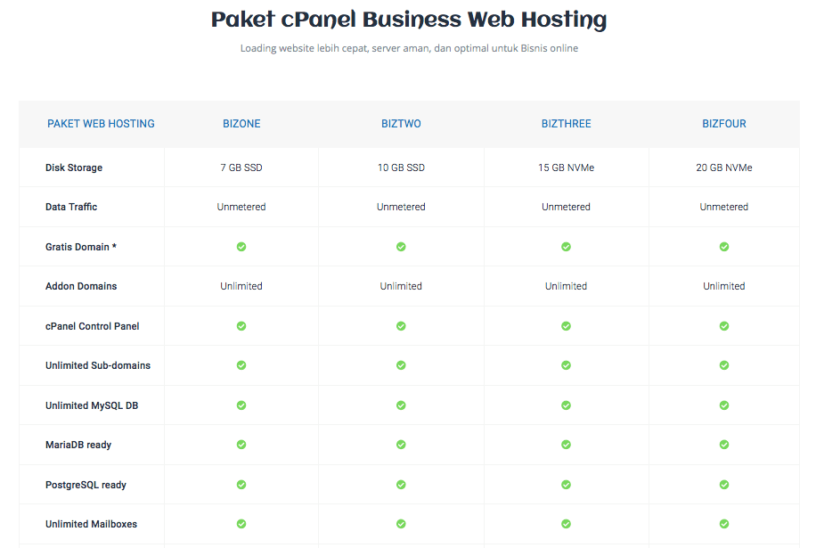 epadi paket cPanel Business Web Hosting