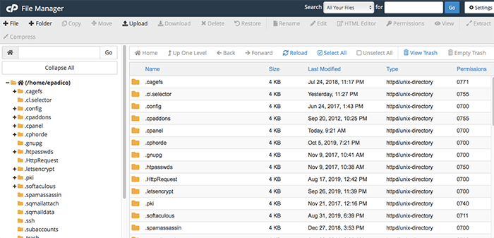 Halaman Folder dan Files Manager pada cPanel