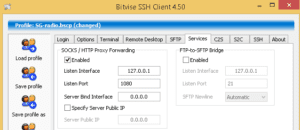 setting-bitvise-services